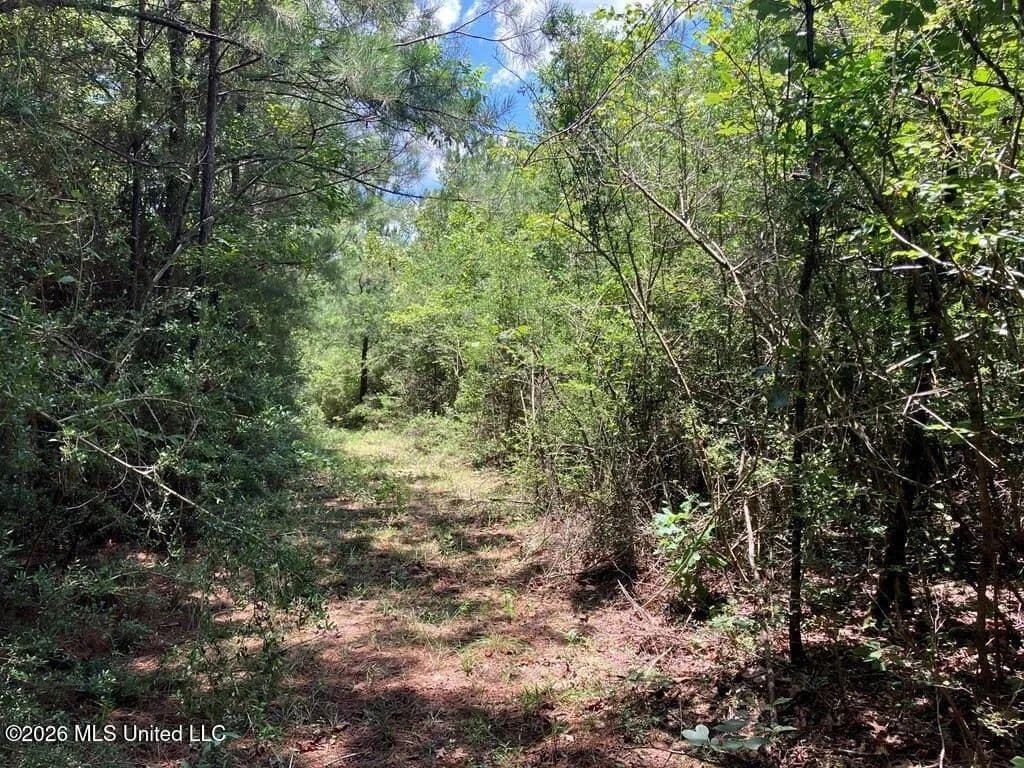 7 acres near Sandy Hook, Mississippi - land for sale