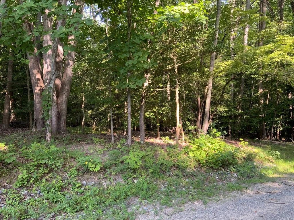 Property from Lot 142 Ridgeview Lane - KW - Lancaster, Virginia, 22503
