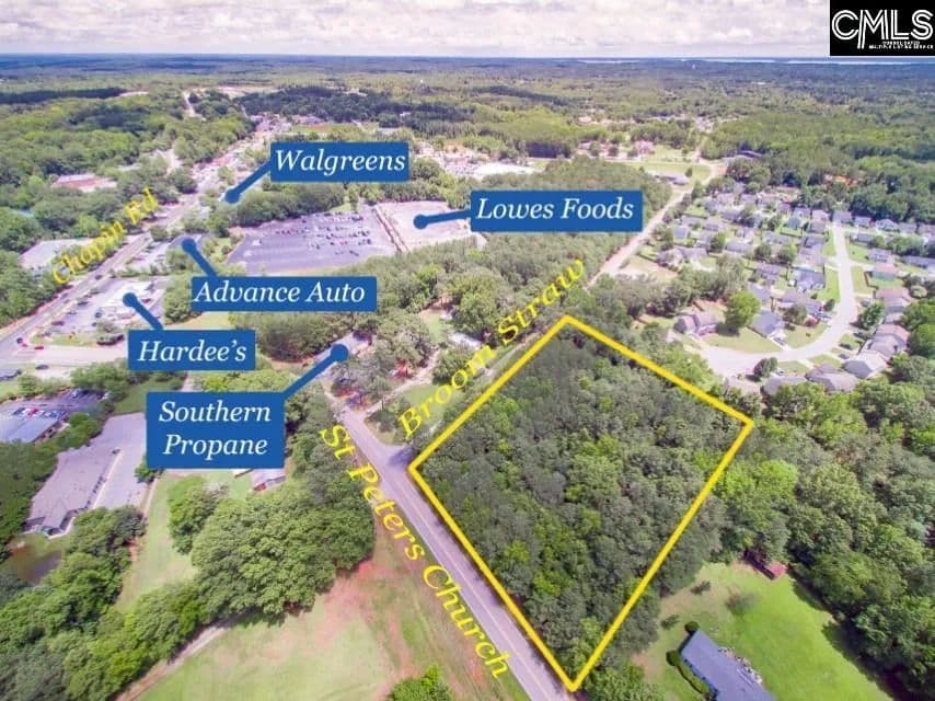 Vacant Land in Chapin - land for sale
