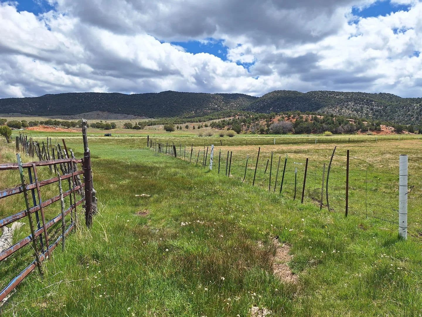 11.46 Acres of Land for Sale in Pinto, Utah - land for sale