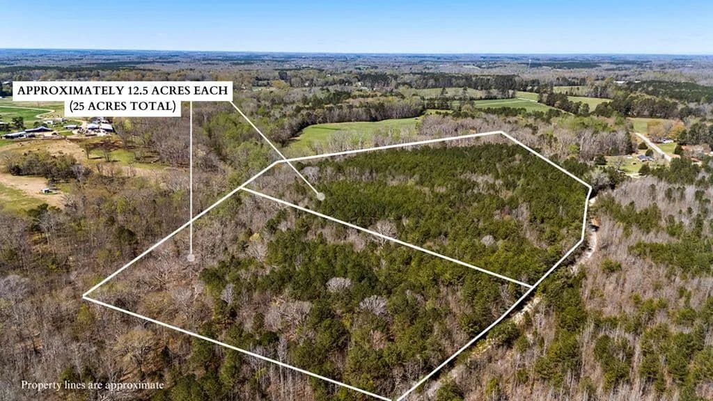 Property from 0 Tommy Miller Rd - KW - Donalds, South Carolina, 29638