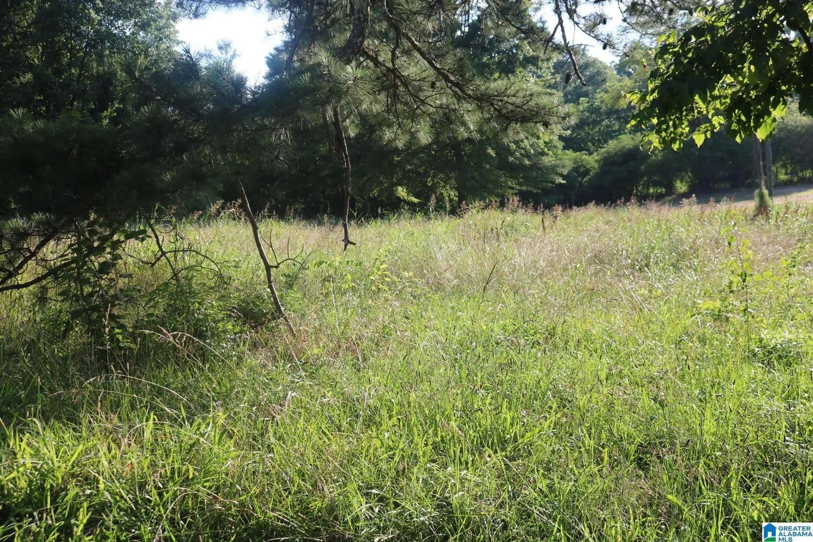 Property from 174 POPLAR SPRINGS DRIVE #1,2,3 - KW - Sylvan Springs, Alabama, 35118