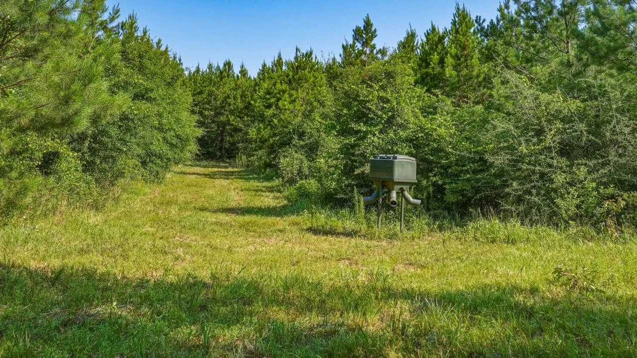 Sumter Hunting Tract - Americus, Georgia, 31719