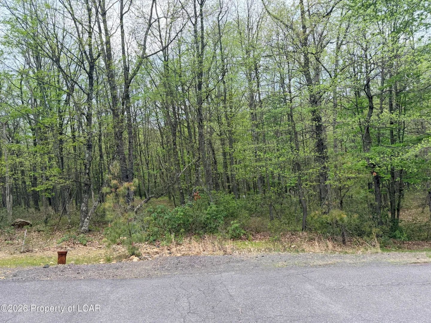 Property from 159 Chippewa Drive - KW - Hazleton, Pennsylvania, 18202
