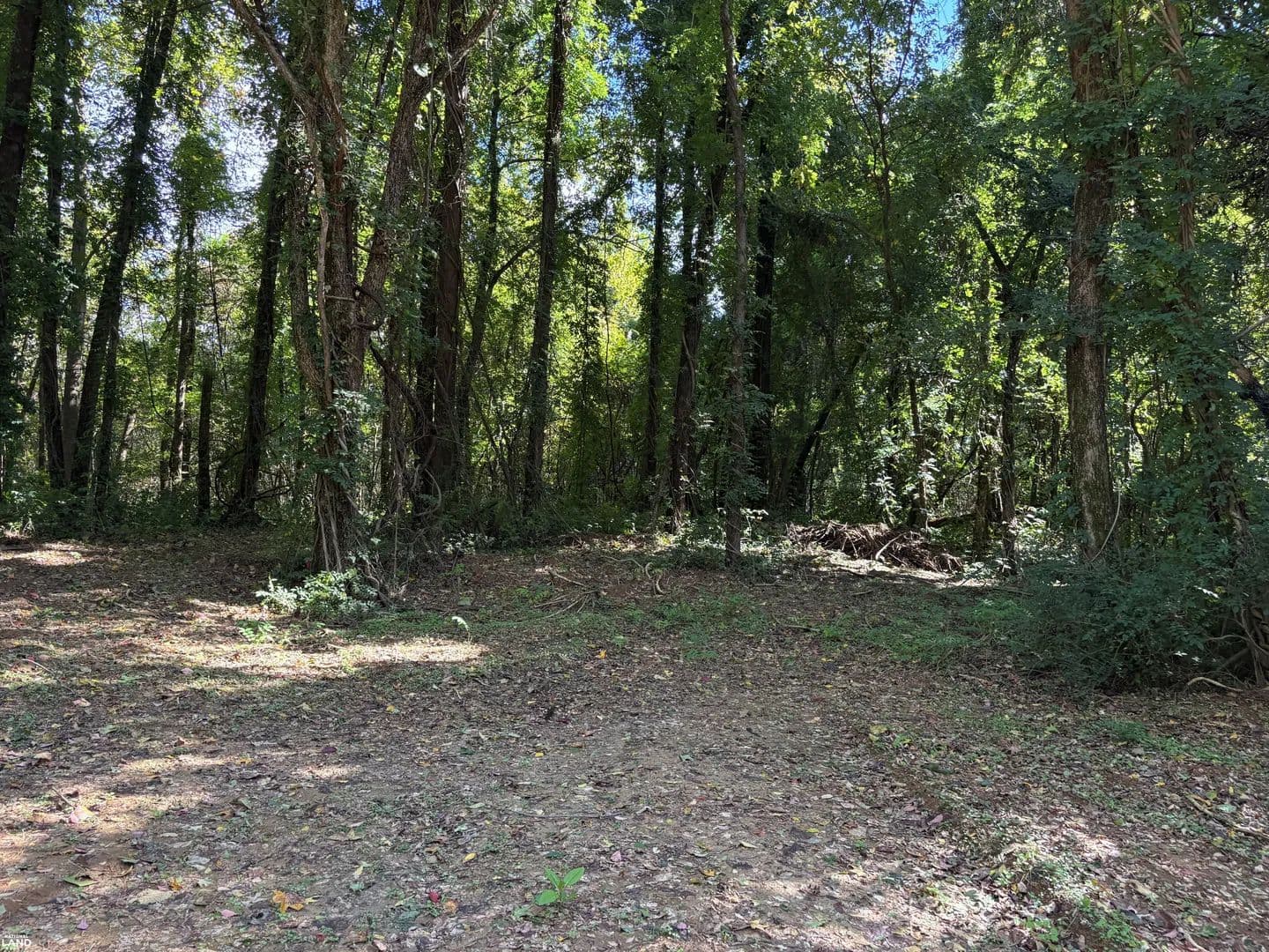 Kerrville Rosemark Residential Building Lot - Millington, Tennessee, 38053
