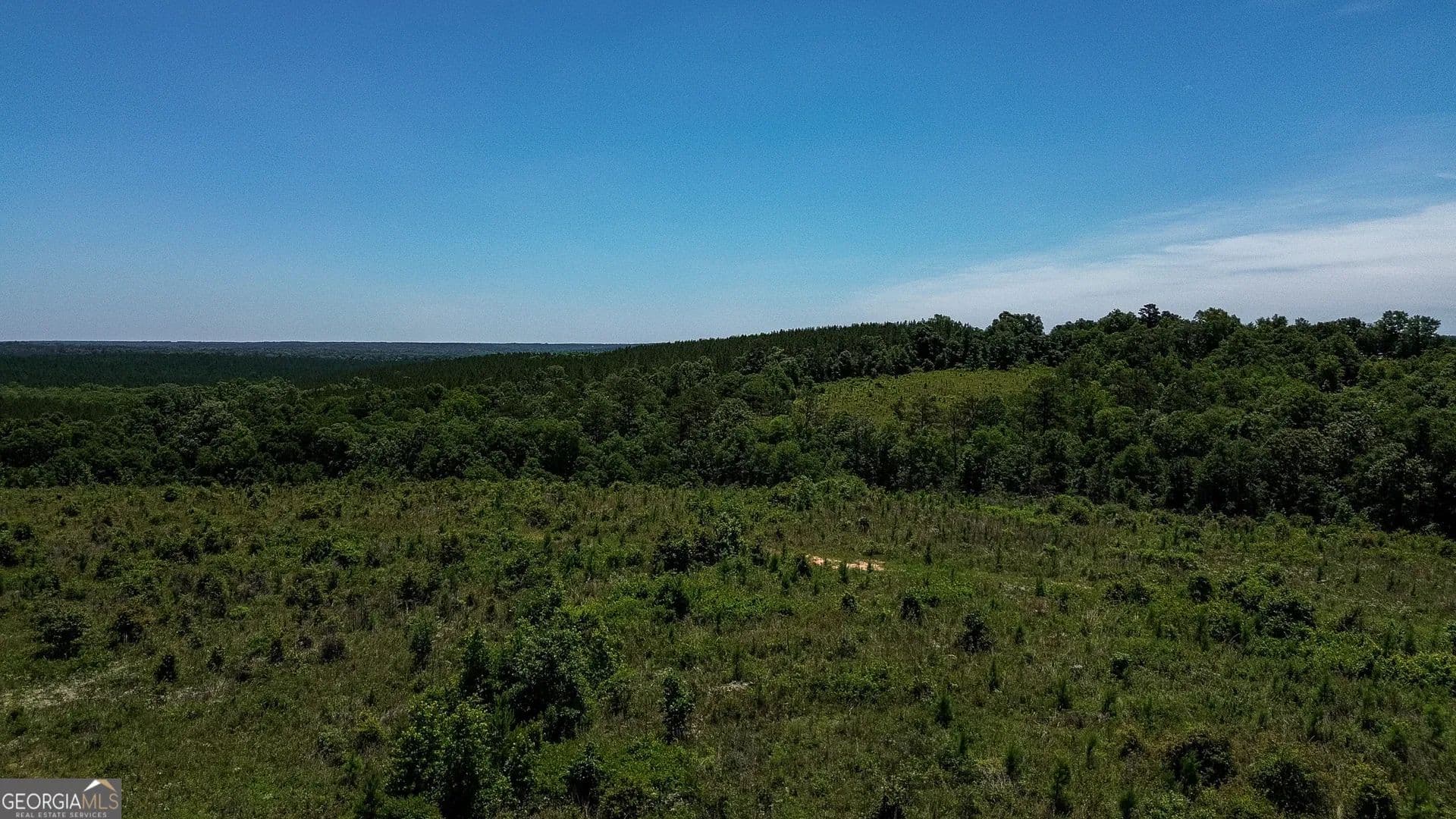 165.79 Acres of Land for Sale in Lumpkin, Georgia - Lumpkin, Georgia, 31815