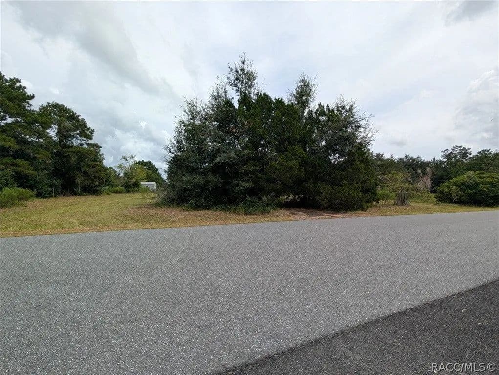 Lots & Land-Other in Floral City - Floral City, Florida, 34436