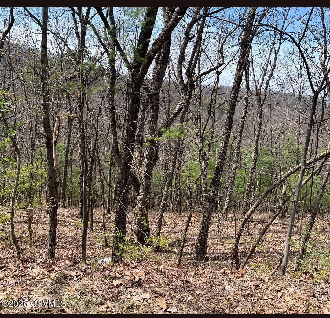 Property from 226 WESTWOOD Drive - KW - Winfield, Pennsylvania, 17889