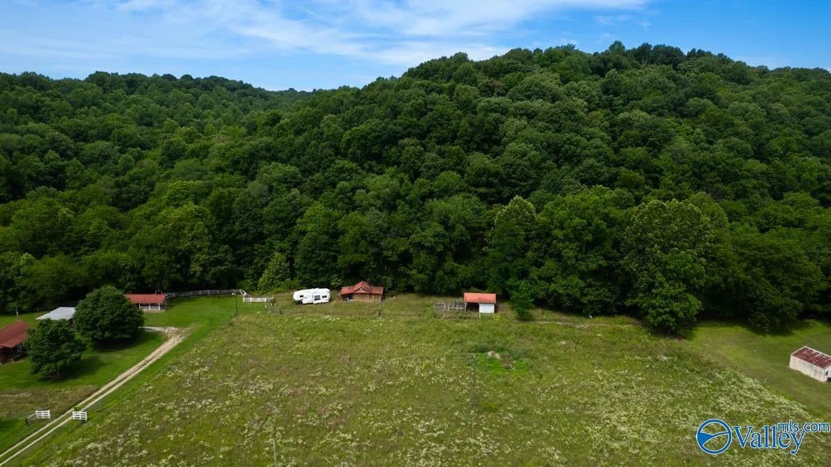 15.17 Acres of Land for Sale in Elkmont, AL - Elkmont, Alabama, 35620