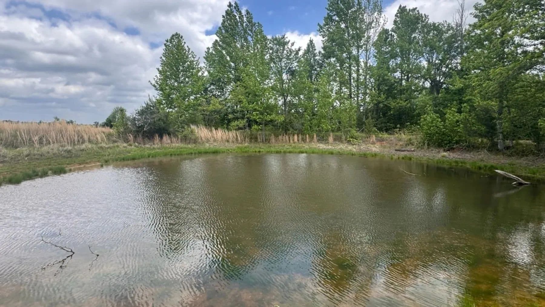 7 acres in Red River County - Clarksville, Texas, 75426