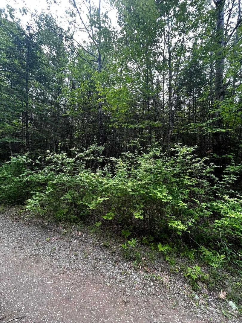 2.8 Acres of Land for Sale in Newport, Maine - Newport, Maine, 04953