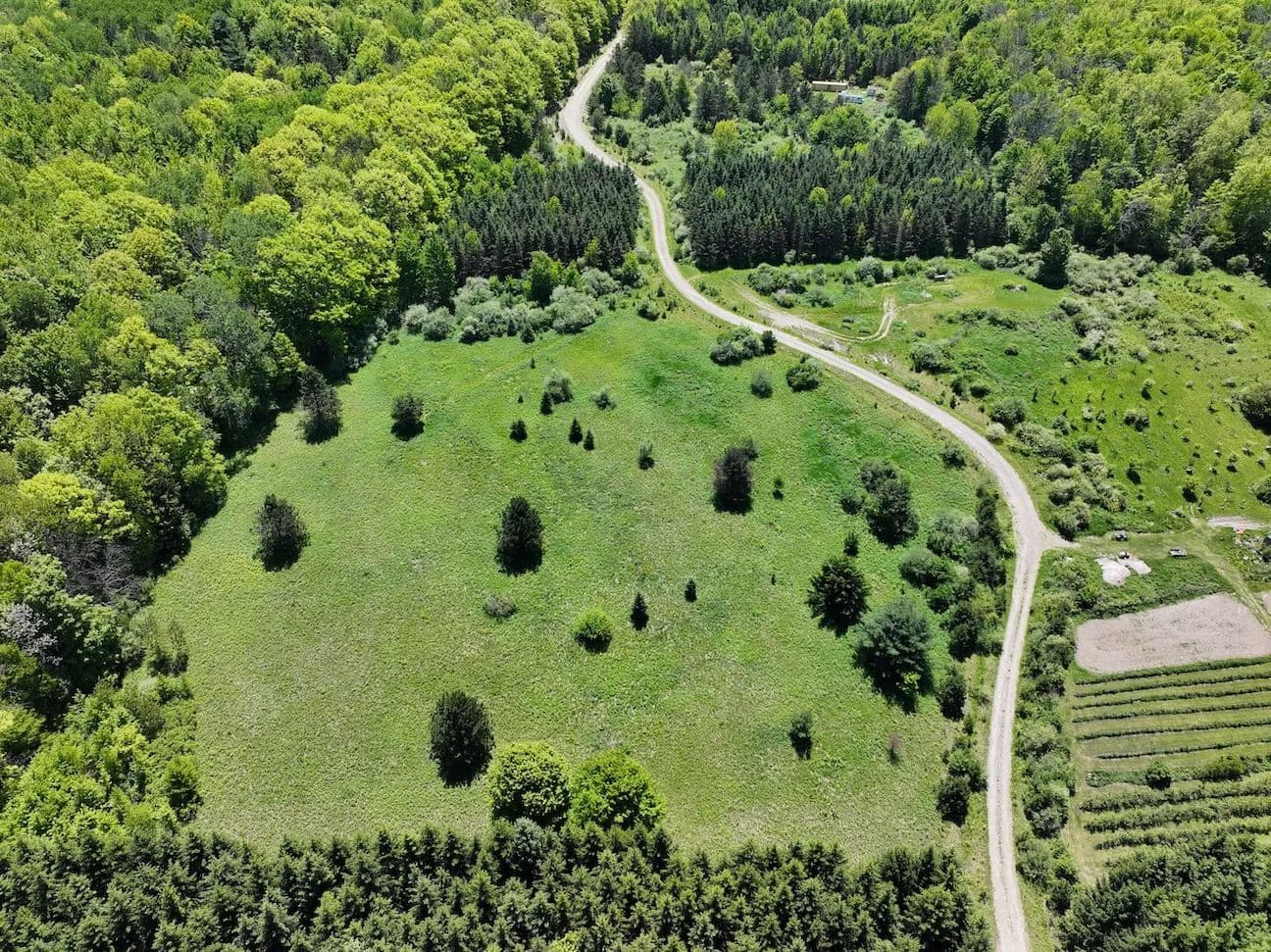 6.7 acre Building Lot and Recreational Land in Cuba NY N. Branch Rd - Cuba, New York, 14739