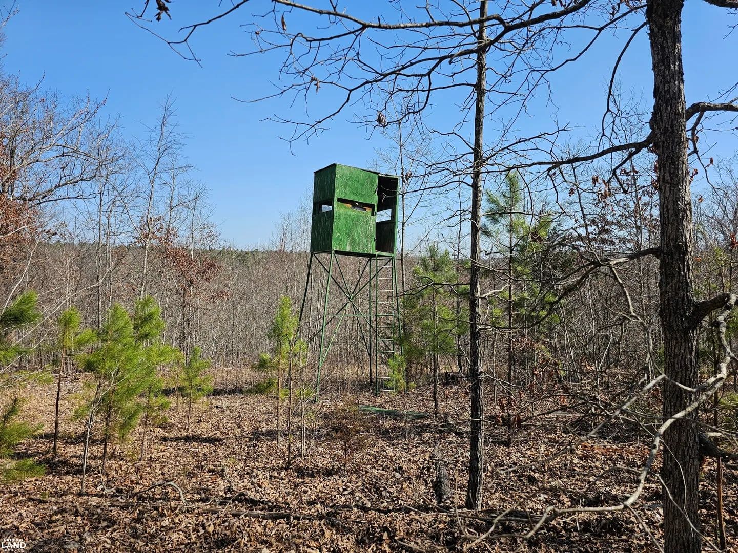 60+/- Acres Tomahawk Slab Road - Saint Joe, Arkansas, 72675