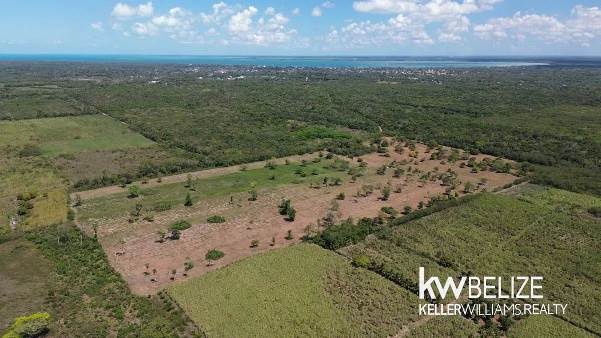 43+ Acres Near Corozal Town - land for sale