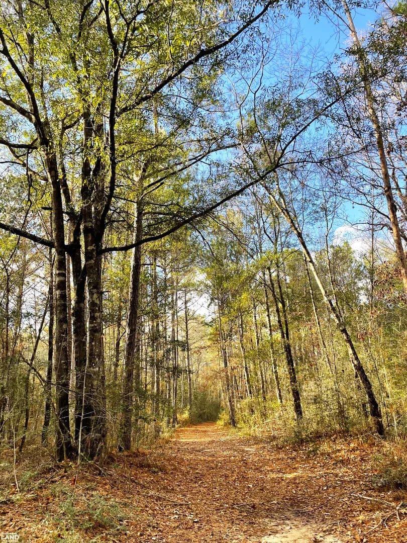 Perdido/Splinter Hill Investment Tract - Perdido, Alabama, 36562