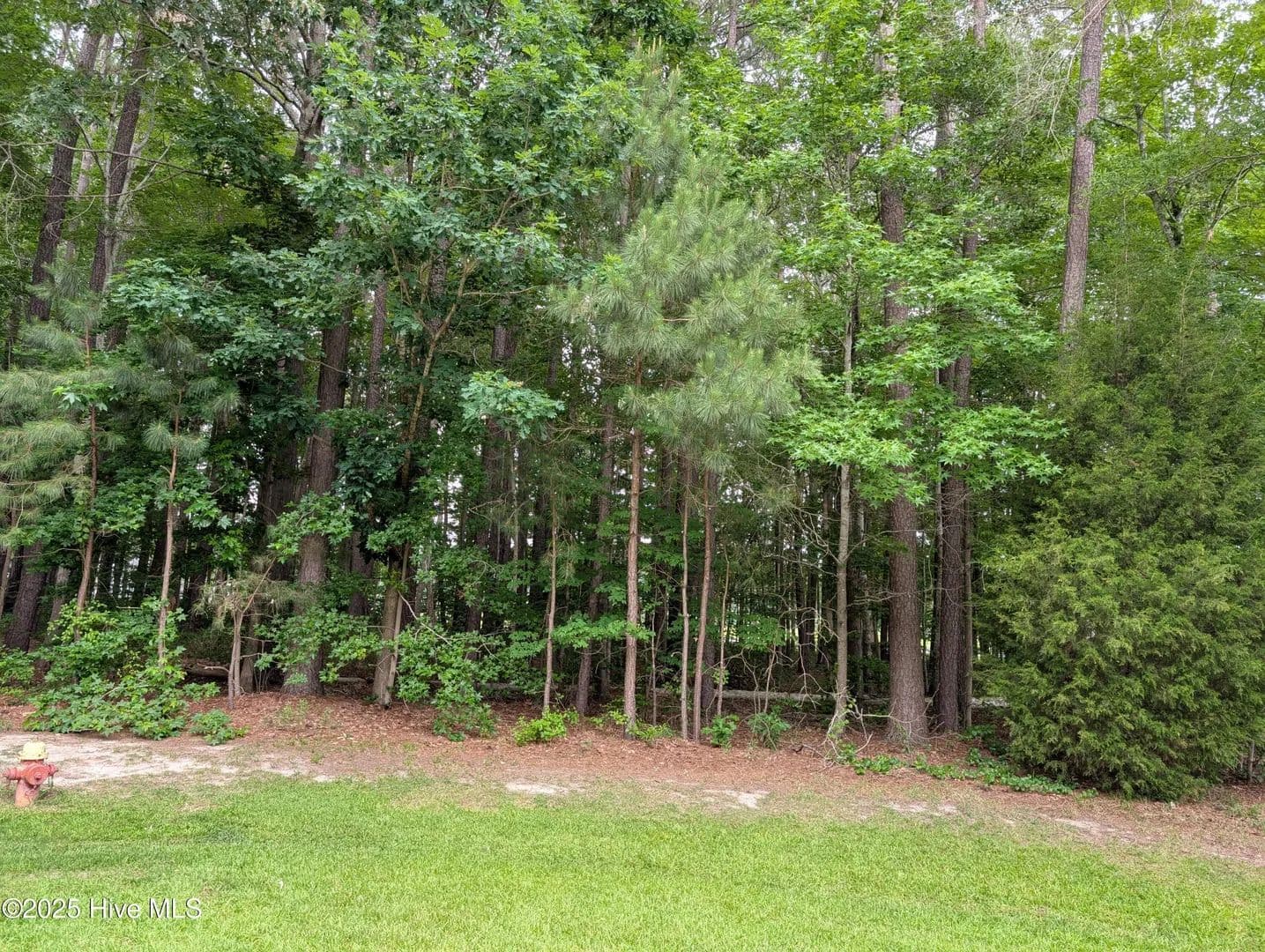 Property from 124 Nottaway Drive - KW - Hertford, North Carolina, 27944