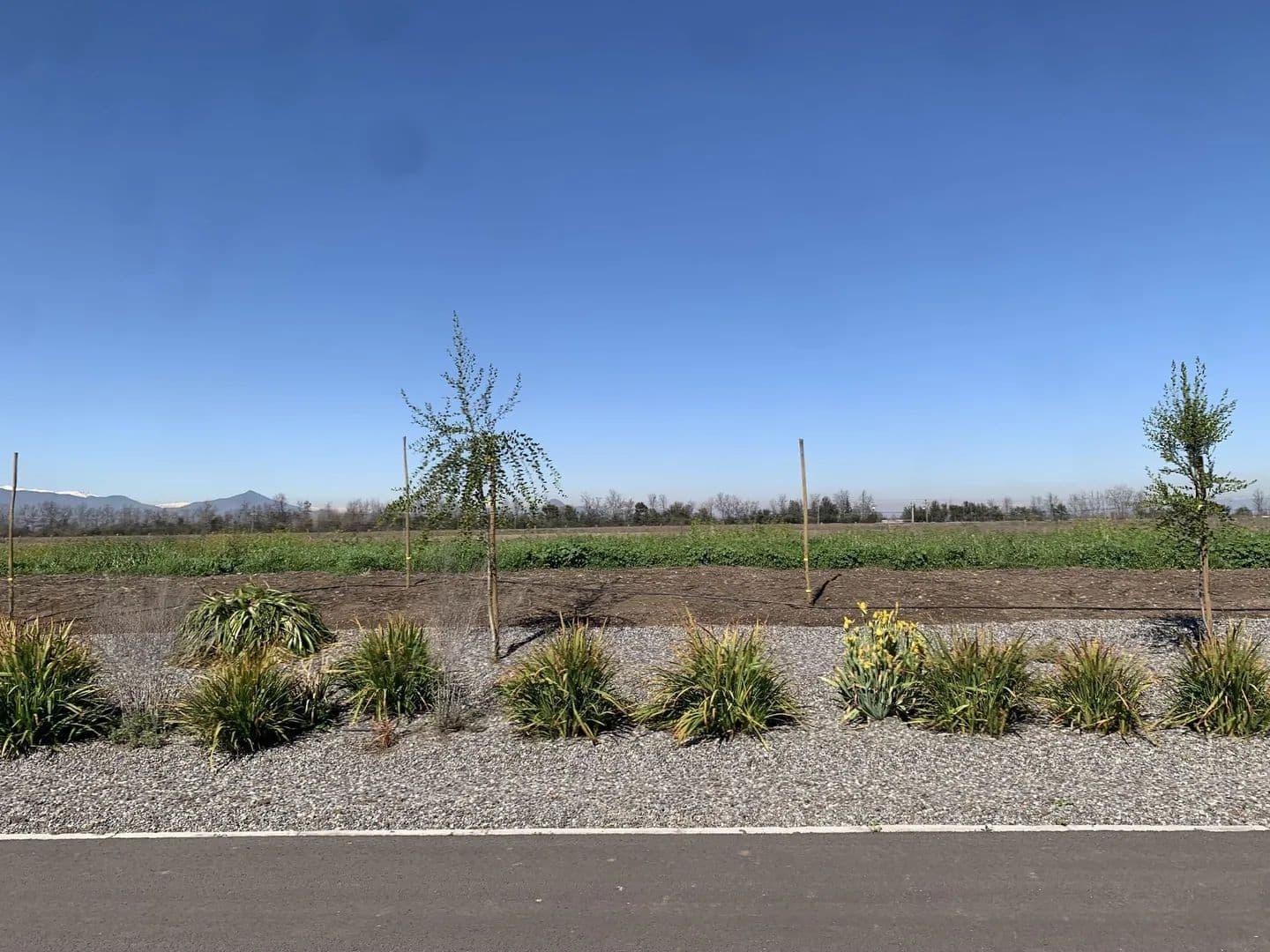 Vacant Land in Colina - Chile