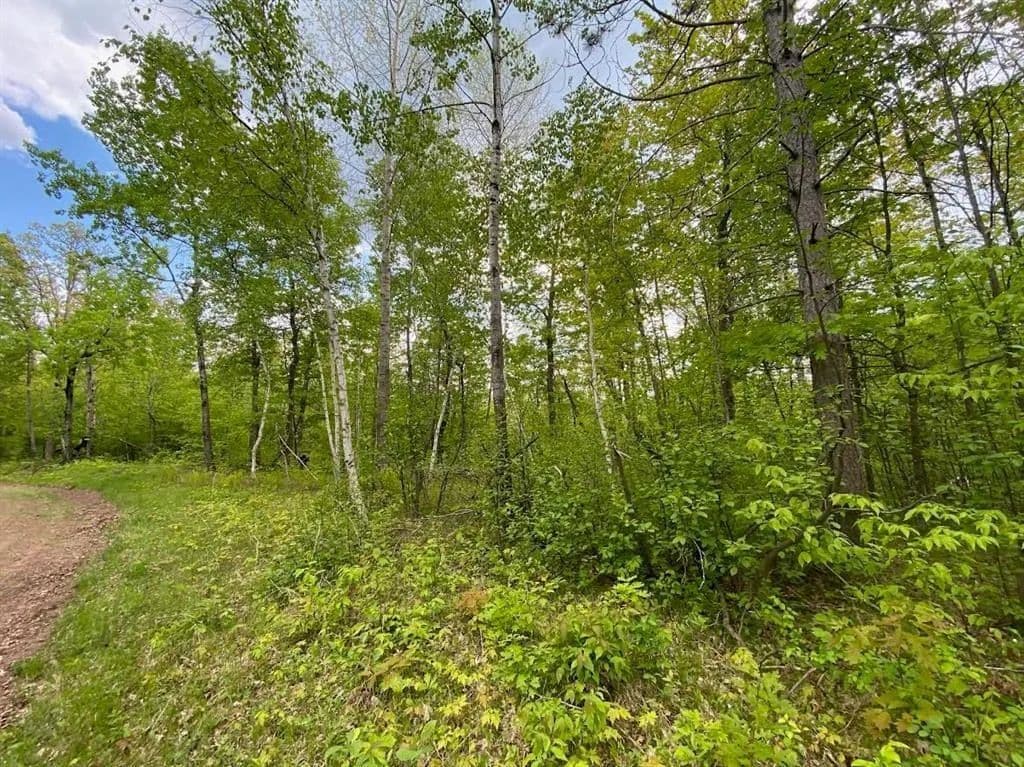 1.26 Acres of Land for Sale in Minong, Wisconsin - Minong, Wisconsin, 54888