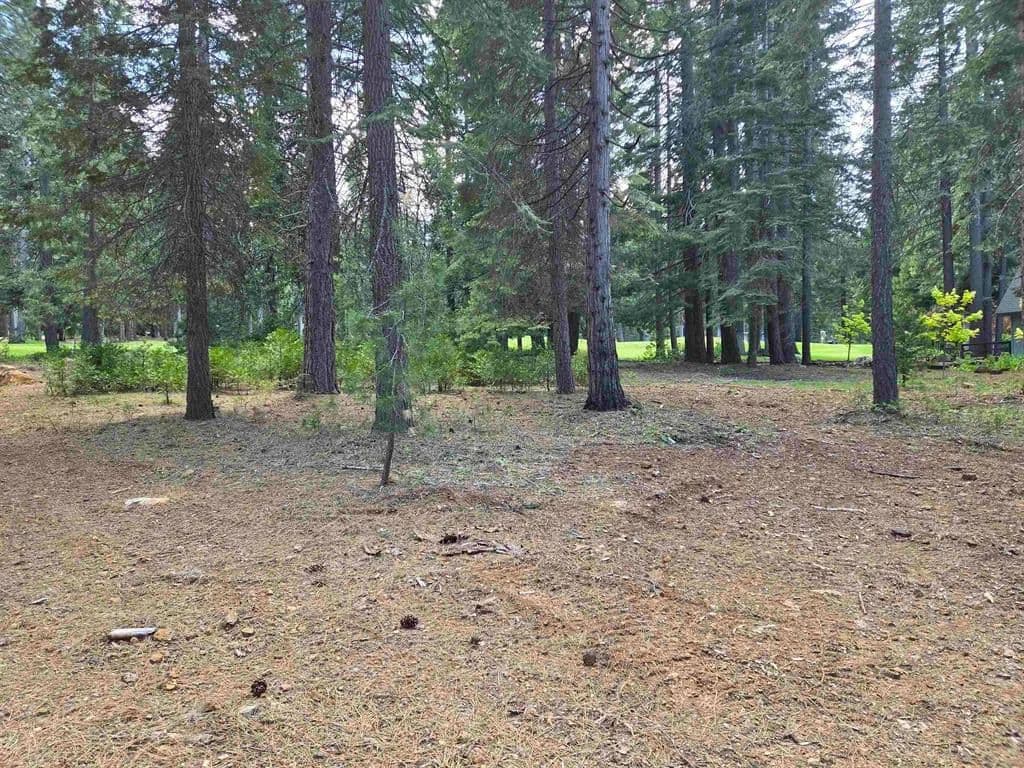 Vacant Land in Lake Almanor - Lake Almanor, California, 96020