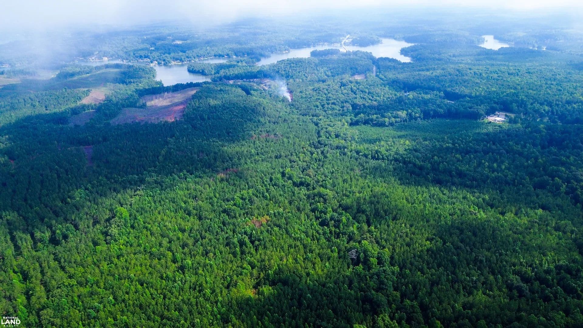 Hunting Tract Opportunity Near Lake Martin - Dadeville, Alabama, 36853
