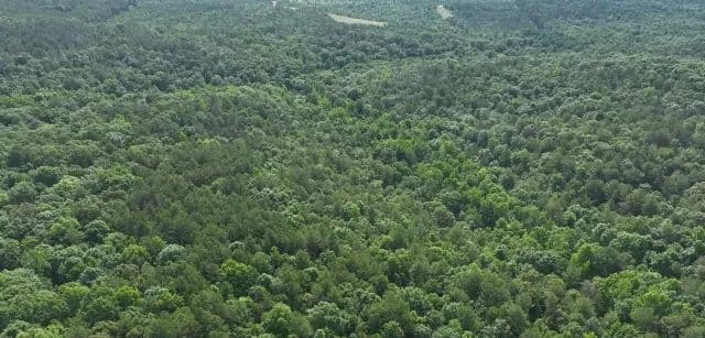 Crossville Community 160 +/- Acre Tract - Vernon, Alabama, 35592
