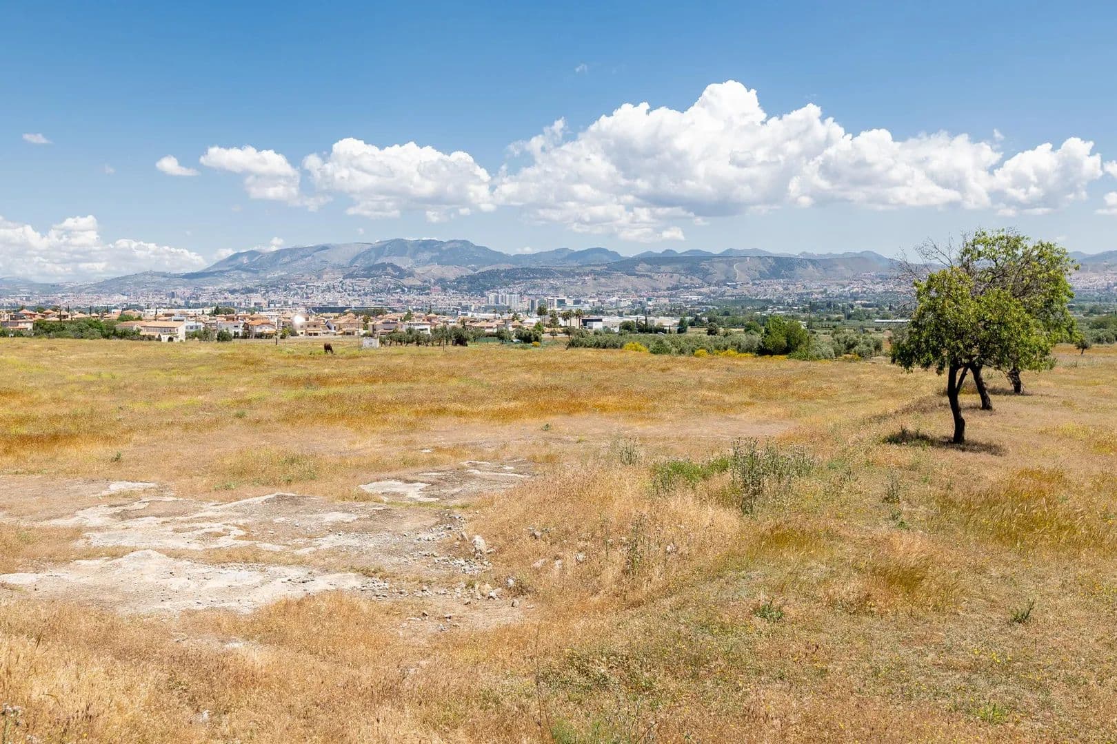 Land for Sale in Ogijares, de las Pedrizas - land for sale