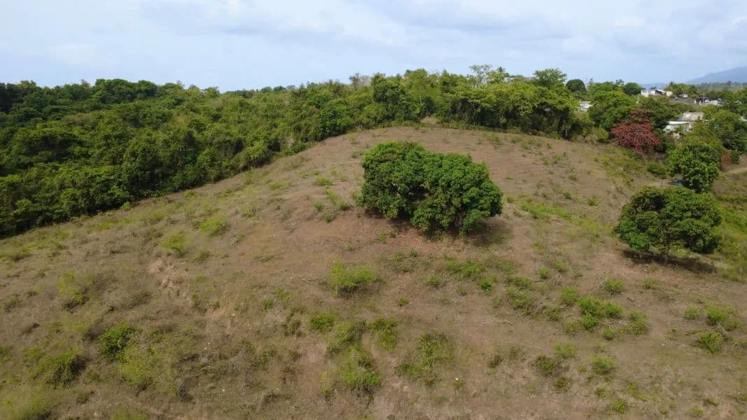 58241 Acres of Land for Sale in Canovanas - land for sale