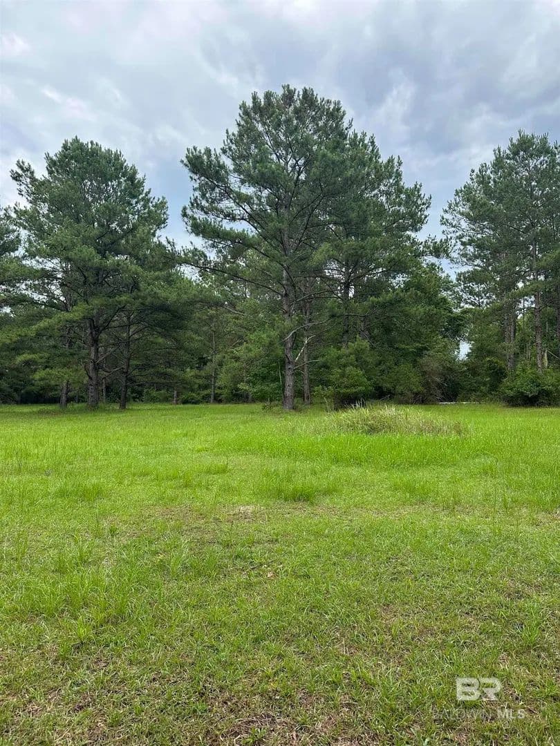 Lots & Land-Other in Bay Minette - Bay Minette, Alabama, 36507