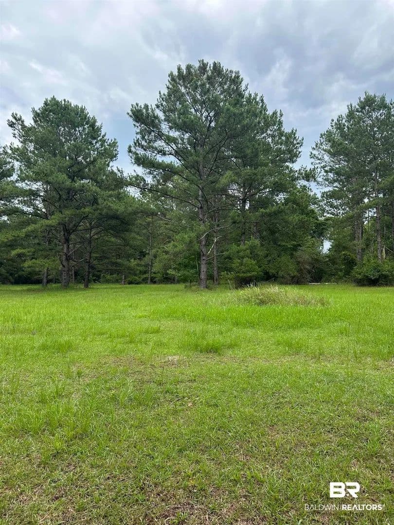Lots & Land-Other in Bay Minette - Bay Minette, Alabama, 36507