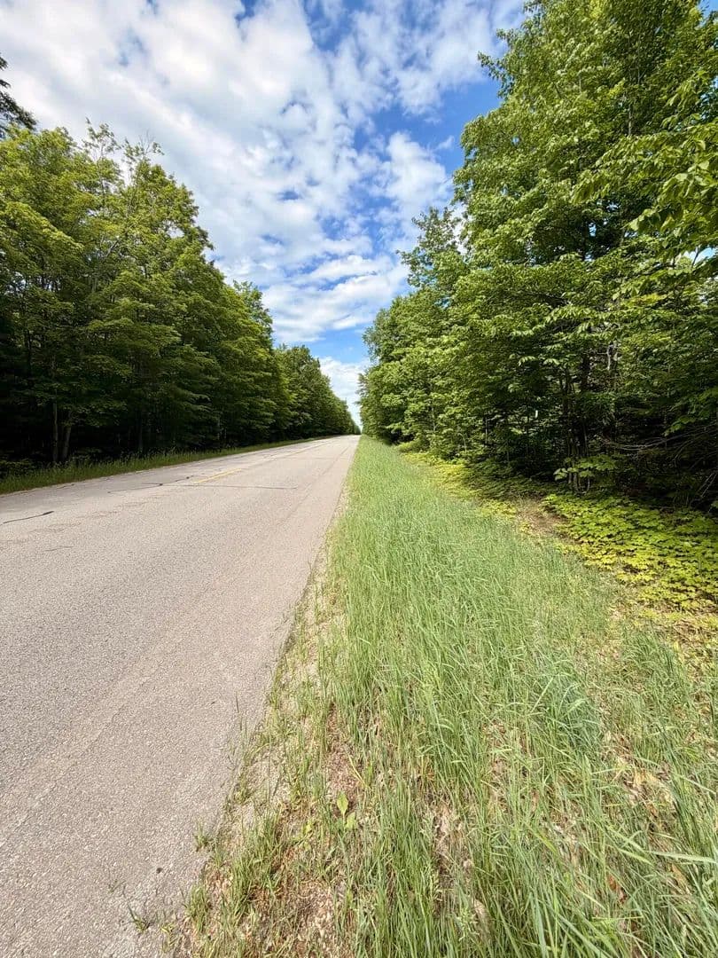 Property from TBD ~60ac Michigan 123 - KW - , Michigan, 49868