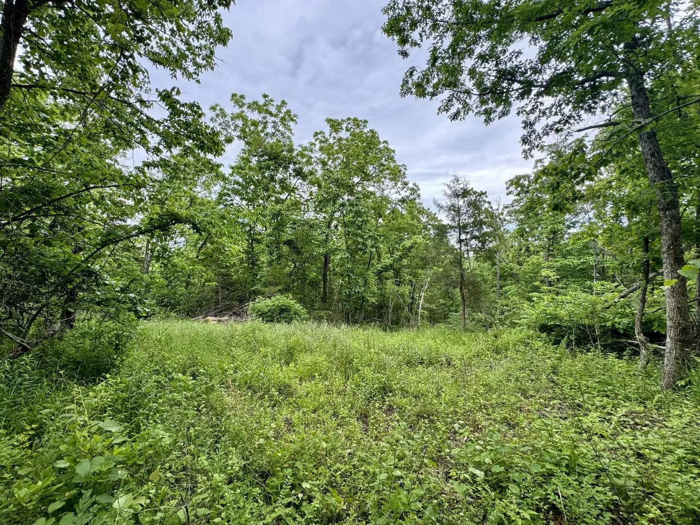 Property from 000 Hart Road - KW - Macomb, Missouri, 65702