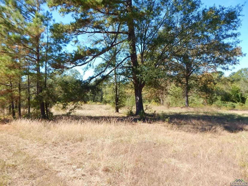 Vacant Land in Gilmer