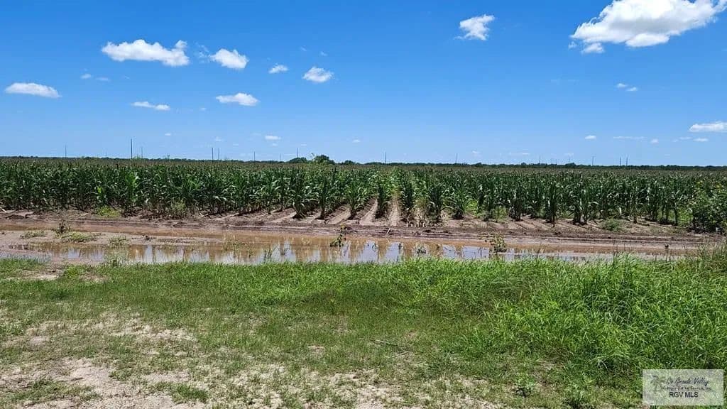20 Acres of Land for Sale in San Benito, Texas - San Benito, Texas, 78586