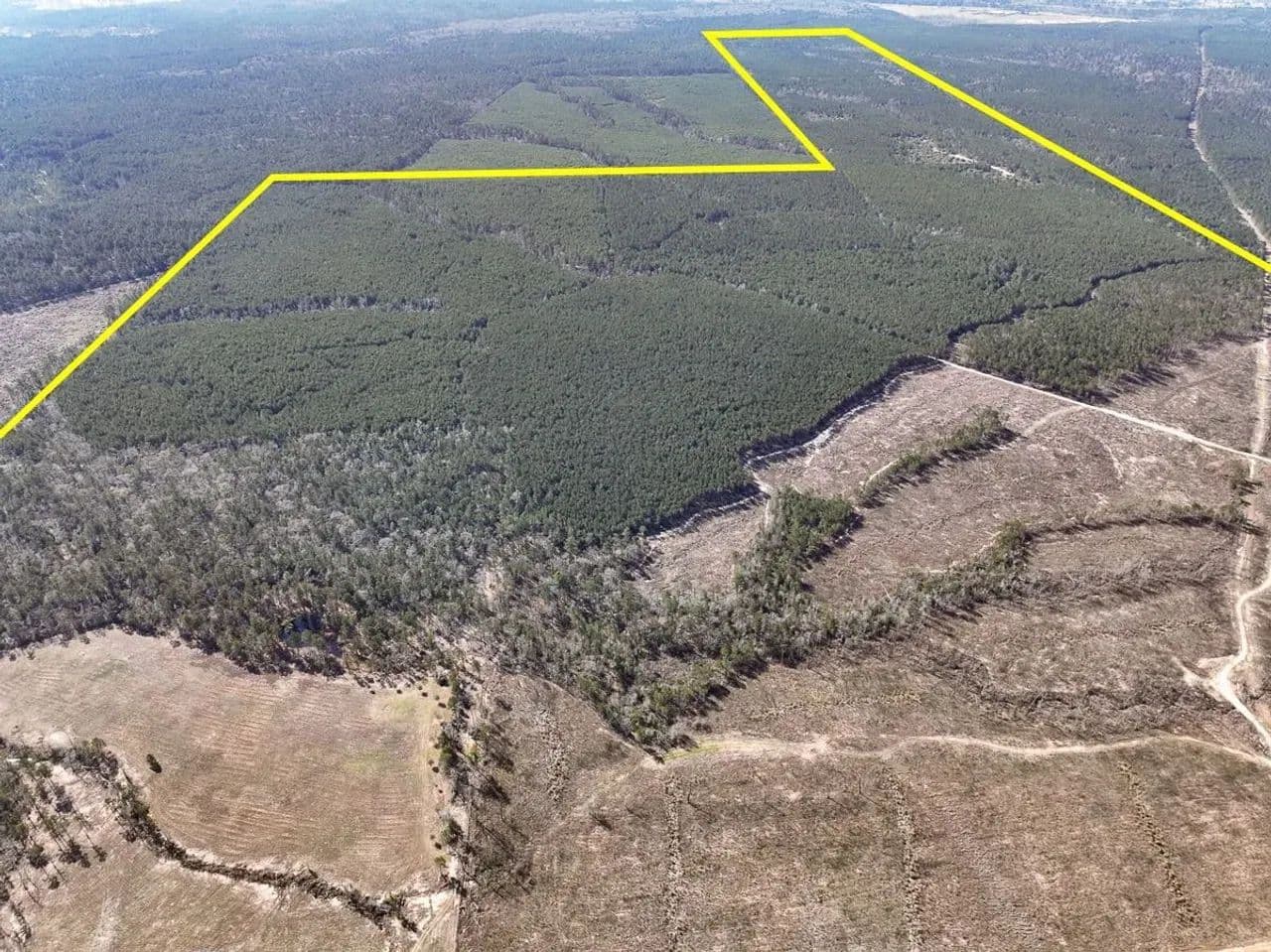 563 Acres | Off FM 247 - Huntsville, Texas, 77340