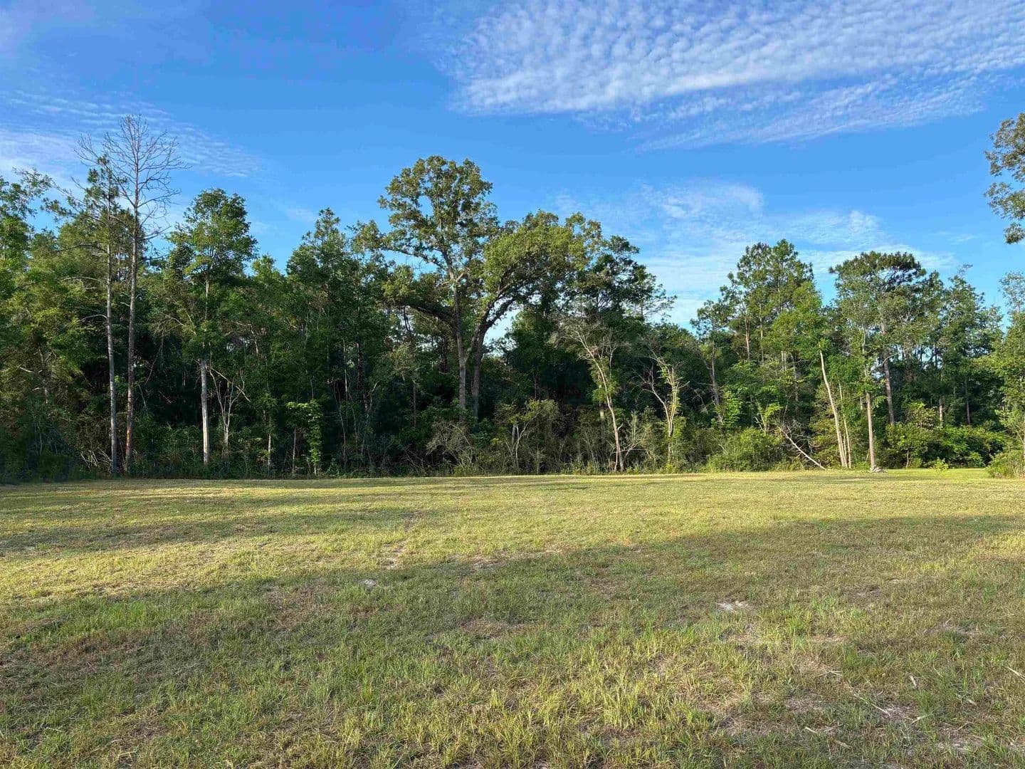 Property from XX Sellars Drive - KW - Crawfordville, Florida, 32327