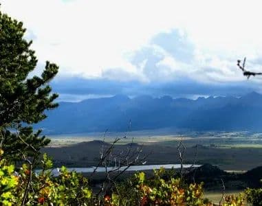 What's on Mitchell Mountain? in Westcliffe, Colorado - photo 4
