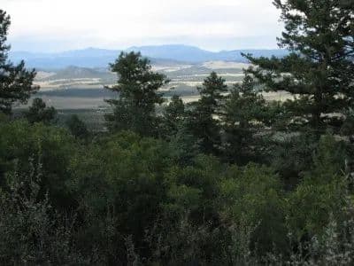 What's on Mitchell Mountain? in Westcliffe, Colorado - photo 5