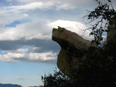 What's on Mitchell Mountain? in Westcliffe, Colorado - photo 7