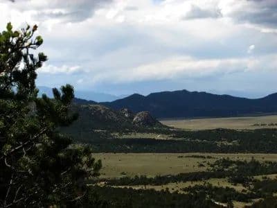 What's on Mitchell Mountain? in Westcliffe, Colorado - photo 14