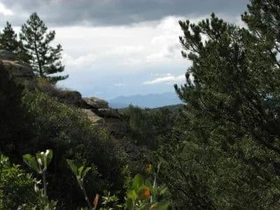 What's on Mitchell Mountain? in Westcliffe, Colorado - photo 15