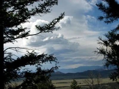 What's on Mitchell Mountain? in Westcliffe, Colorado - photo 18