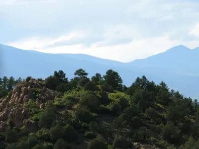 What's on Mitchell Mountain? in Westcliffe, Colorado - photo 22