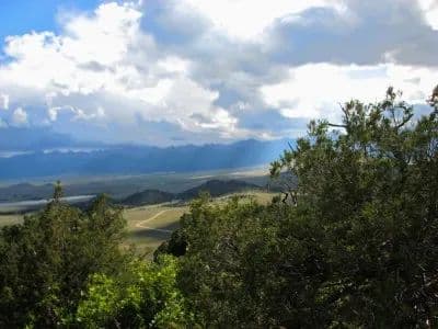 What's on Mitchell Mountain? in Westcliffe, Colorado - photo 24