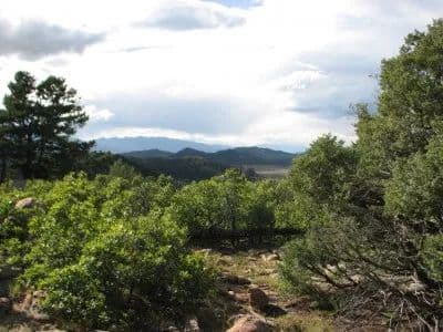 What's on Mitchell Mountain? in Westcliffe, Colorado - photo 32