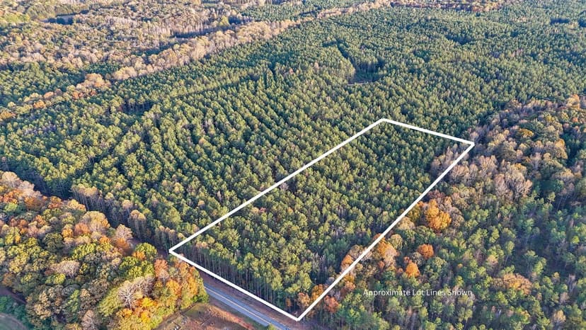 7± Acre Wooded Homesite in Oak Bowery