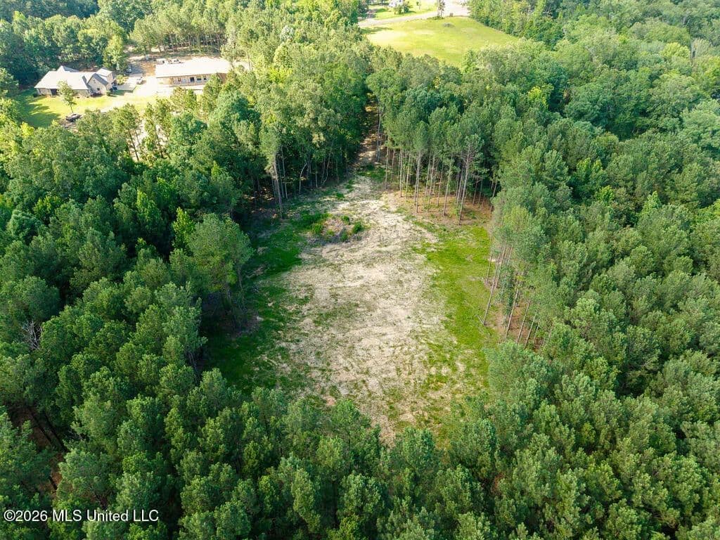 Property from Trickhambridge Road - KW - Brandon, Mississippi, 39042