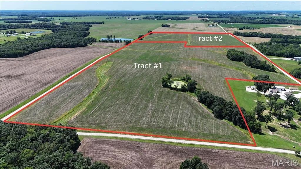 96.59 Acres of Land for Sale in Bellflower, MO - Bellflower, Missouri, 63333