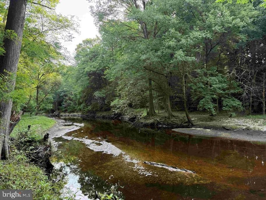 Property from SARECTA ROAD (TRACT: DUPLIN) - KW - North Carolina, 99999