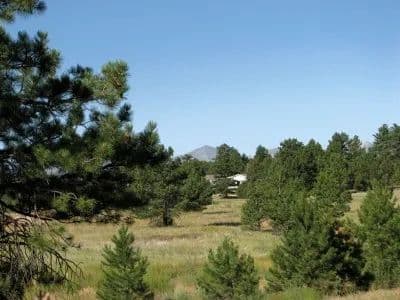 All Systems Go! in Cotopaxi, Colorado - photo 26
