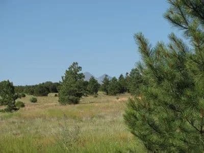 All Systems Go! in Cotopaxi, Colorado - photo 28
